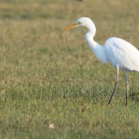 Mobil-home - Bairon - Bord De Le Chesne (Ardennes)